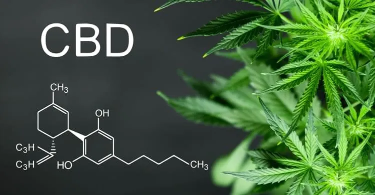 benefits of cbd oil