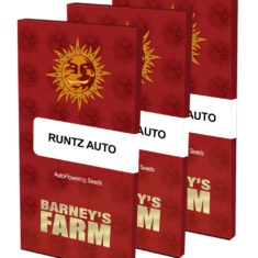 runtz auto packet large