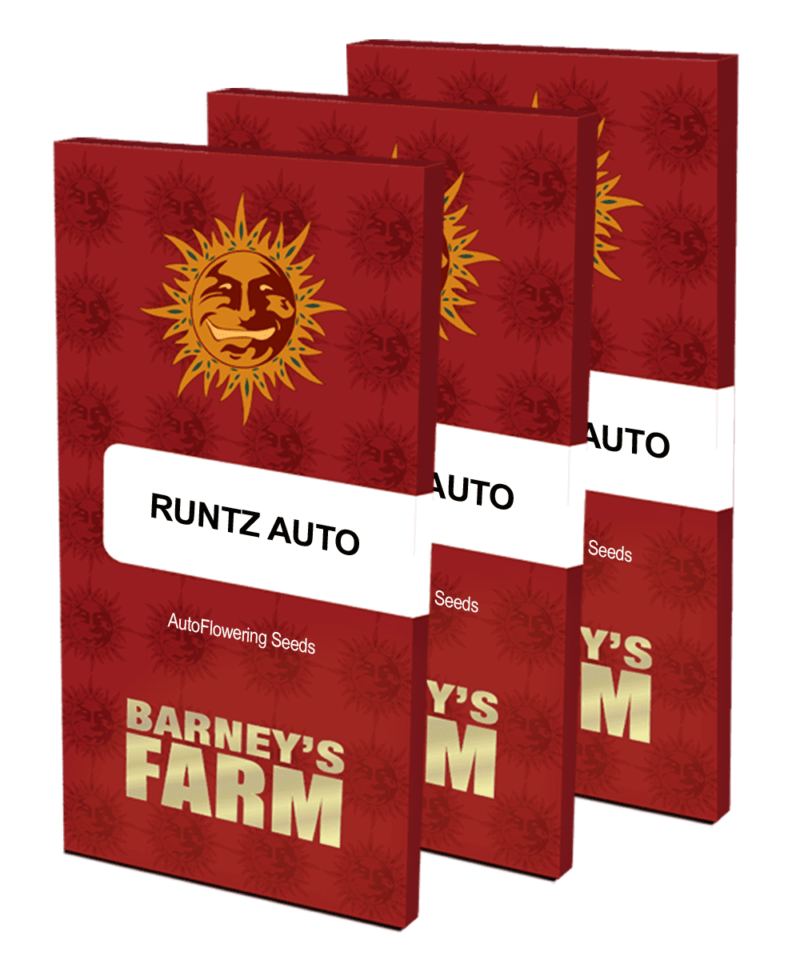 runtz auto packet large