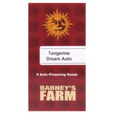 Tangerine Dream Automatic Barneys Farm 5 seeds