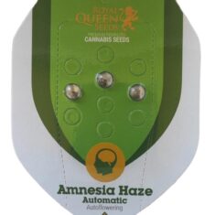 RQS AMNESIA HAZE AUTO 3S