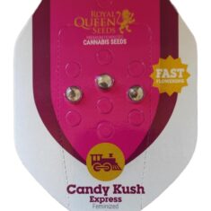 RQS CANDY KUSH 3S