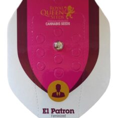 RQS EL PATRON 1S