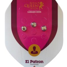 RQS EL PATRON 3S