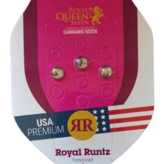 RQS ROYAL RUNTZ 3S