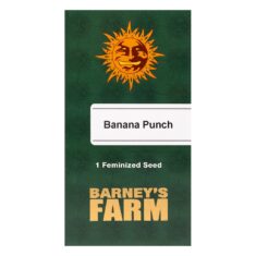 Banana Punch