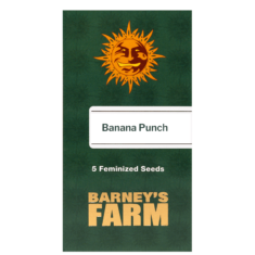 banana punch 5seeds