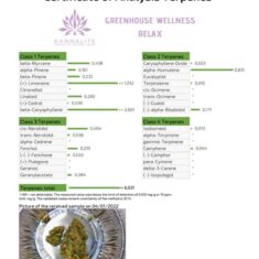 GREENHOUSE WELLNESS RELAX TERPENE ANALYSIS 600x649 1