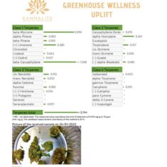 GREENHOUSE WELLNESS UPLIFT TERPENE ANALYSIS 600x712 1