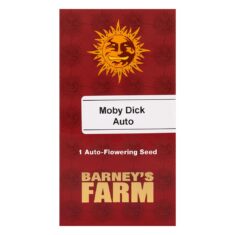 Moby_Dick_Auto_1_seed