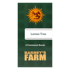 lemon tree 3seeds