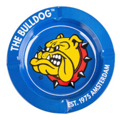 the bulldog ashtray blue