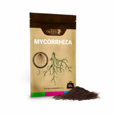 RQS Easy Roots - Mycorrhiza Mix